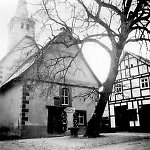 Die Linde in Viesebeck, um 1940 Vorschaubild