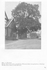 Kirche und Linde in Viesebeck, 1929 Vorschaubild