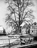 Der Gerichtsplatz in Vollmarshausen, 1935 Vorschaubild