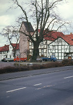 Gerichtsplatz in Vollmarshausen, 1986 Vorschaubild