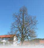 Der Gerichtsplatz in Dankerode, 2010 Vorschaubild