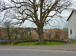 Der Lindenplatz in Dens, 2010 Vorschaubild