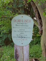 Hinweistafel an der Gerichtslinde von Niederstedten, 2014 Vorschaubild