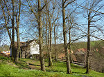 Der Lindenplatz in Diemerode Vorschaubild