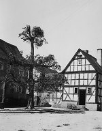 Die Stufenlinde in Kirch-Göns, um 1938 Vorschaubild