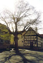 Die ehemalige Gerichtslinde in Kirch-Göns, 2004 Vorschaubild
