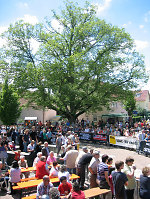 Traktortreffen, 2010 Vorschaubild