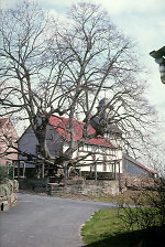Der Gerichtsplatz in Erdmannrode, 1986 Vorschaubild