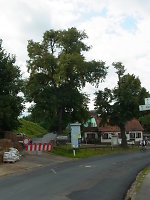 Gerichtsplatz in Groß-Karben, 2014 Vorschaubild