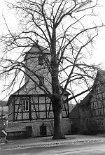 Die Linde in Erkshausen, 1994 Vorschaubild