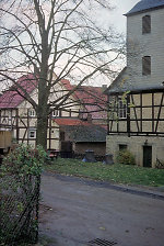 Die Linde in Erkshausen, 1981 Vorschaubild