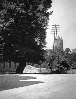 Die Linde in Groß-Steinheim, um 1938 Vorschaubild