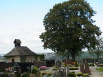Die Linden neben der alten Friedhofskapelle (2015) Vorschaubild