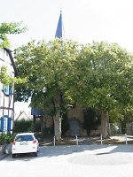 Zwei Linden vor der Kirche in Mensfelden (2015) Vorschaubild