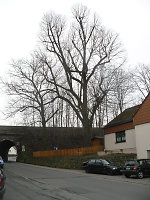 Der ehemalige Gerichtsplatz in Gertenbach, 2010 Vorschaubild