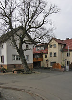 Der Gerichtsplatz in Goßfelden, 2010 Vorschaubild