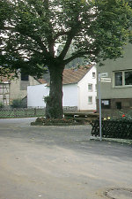 Der Gerichtsplatz in Goßfelden, 1981 Vorschaubild