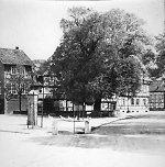 Die Gerichtslinde in Grebendorf, 1938 Vorschaubild