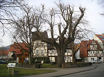 Der Gerichtsplatz in Grebendorf, 2010 Vorschaubild