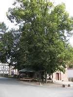 Der Gerichtsplatz in Himmelsberg Vorschaubild