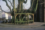 Das Holzgerüst der Linde in Himmelsberg, 1982 Vorschaubild