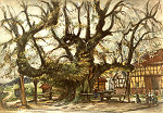 Die Linde in Himmelsberg, Pastell von Adolf Schöter, 1977 Vorschaubild