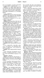 Click to enlarge Image preview