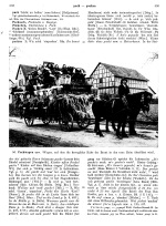 Vorschau des Bilddokuments