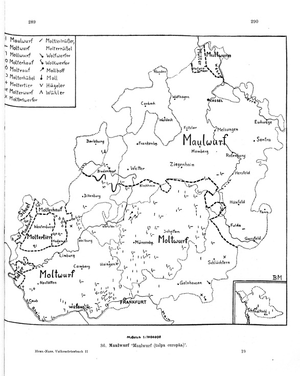 Zum Vergrößern bitte klicken Seitenanzeige: Band 2, Spalten 289–290