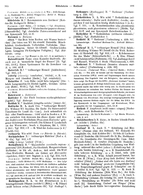 Seitenanzeige: Band 2, Spalten 905–906