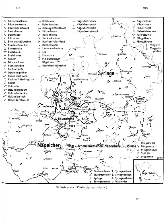 Click to enlarge Page View: Volume 3, Columns 917–918