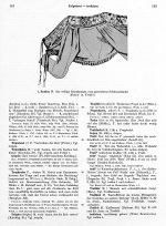 Vorschau des Bilddokuments