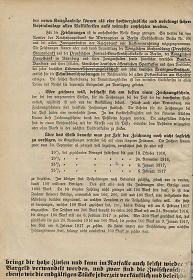 Detailansicht