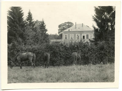 Detailansicht