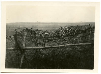 Detailansicht