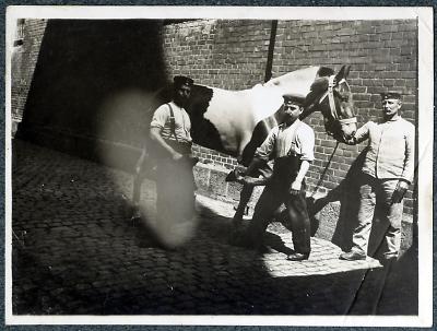 Detailansicht