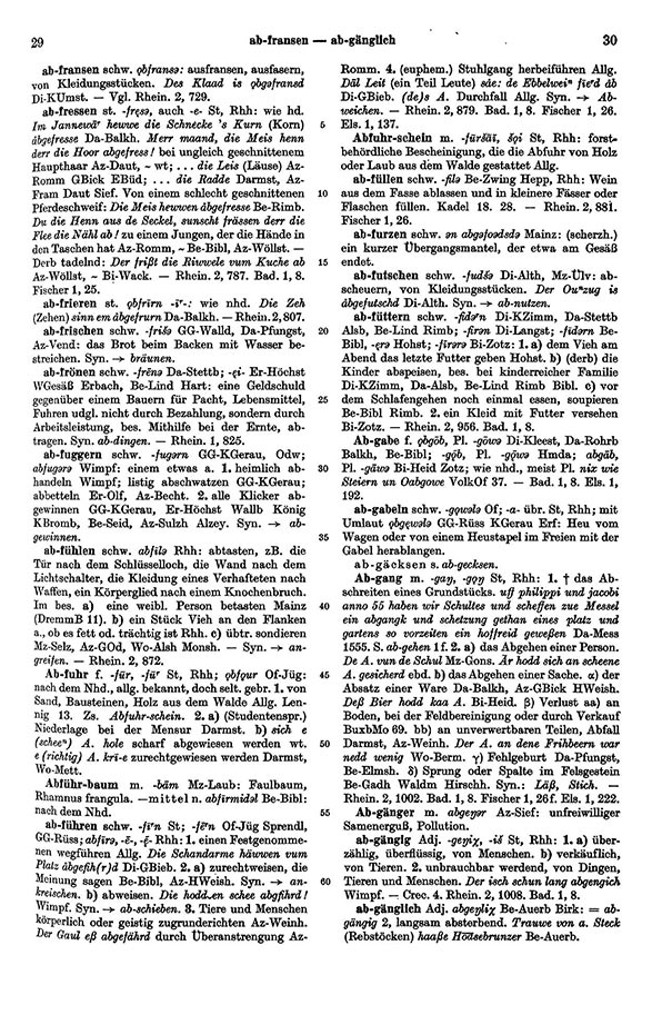 Click to enlarge Page View: Volume 1, Columns 29–30