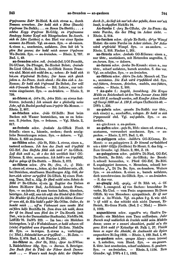 Page View: Volume 1, Columns 243–244