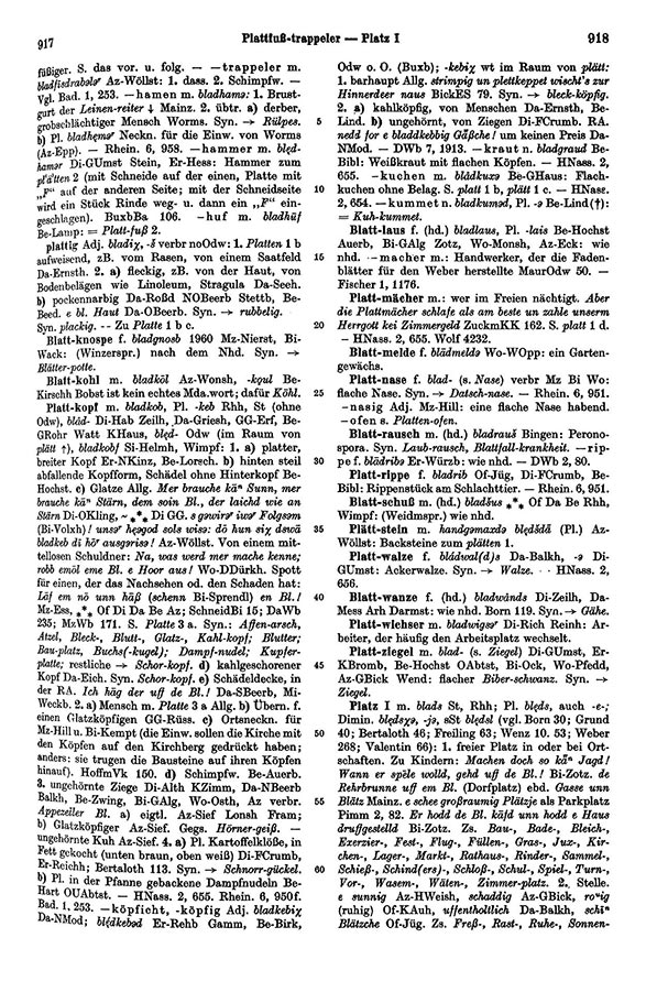 Page View: Volume 1, Columns 917–918