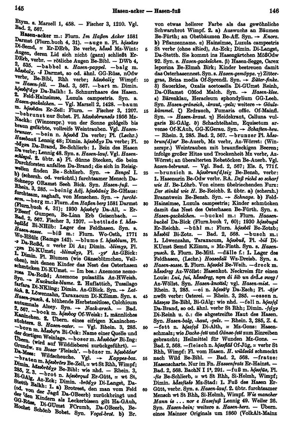 Click to enlarge Page View: Volume 3, Columns 145–146