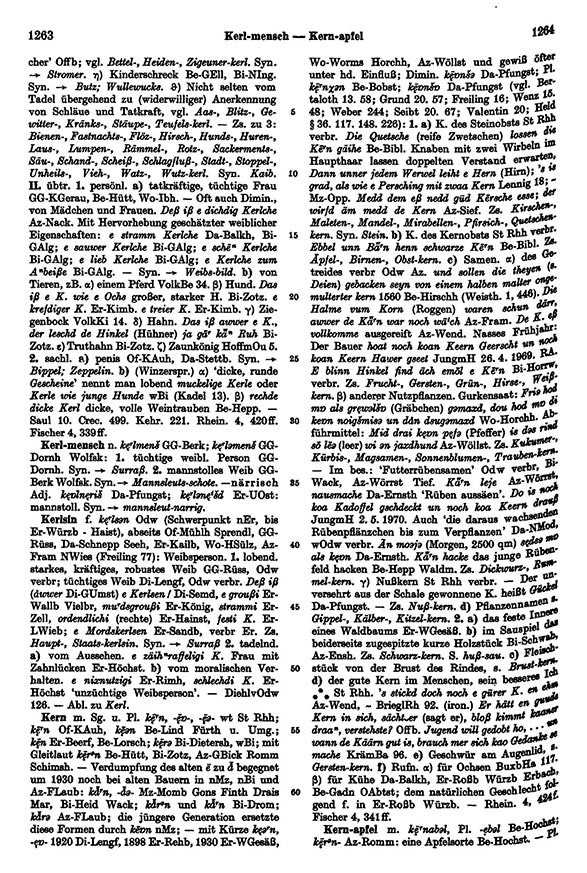 Page View: Volume 3, Columns 1263–1264