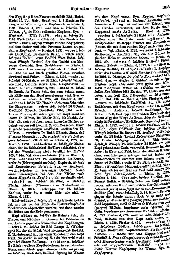 Seitenanzeige: Band 3, Spalten 1667–1668