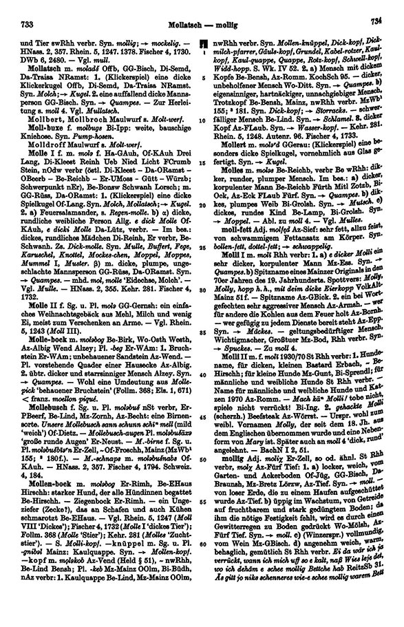 Click to enlarge Page View: Volume 4, Columns 733–734