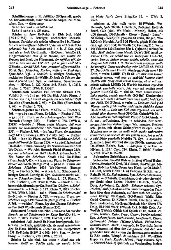 Zum Vergrößern bitte klicken Seitenanzeige: Band 5, Spalten 243–244