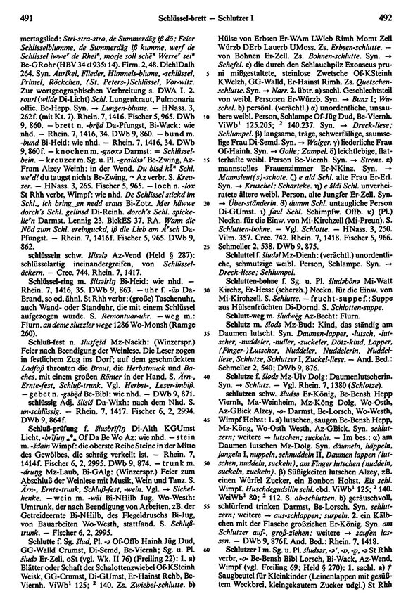 Zum Vergrößern bitte klicken Seitenanzeige: Band 5, Spalten 491–492