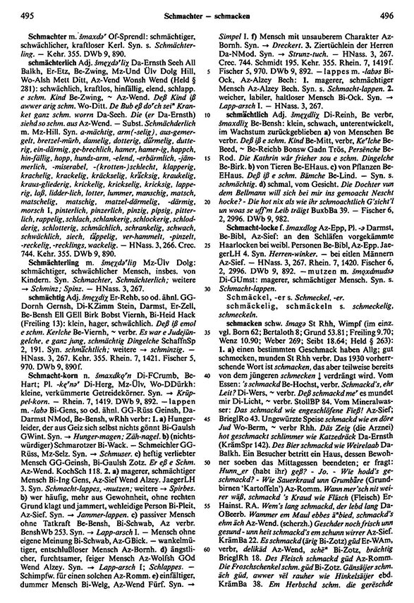 Zum Vergrößern bitte klicken Seitenanzeige: Band 5, Spalten 495–496