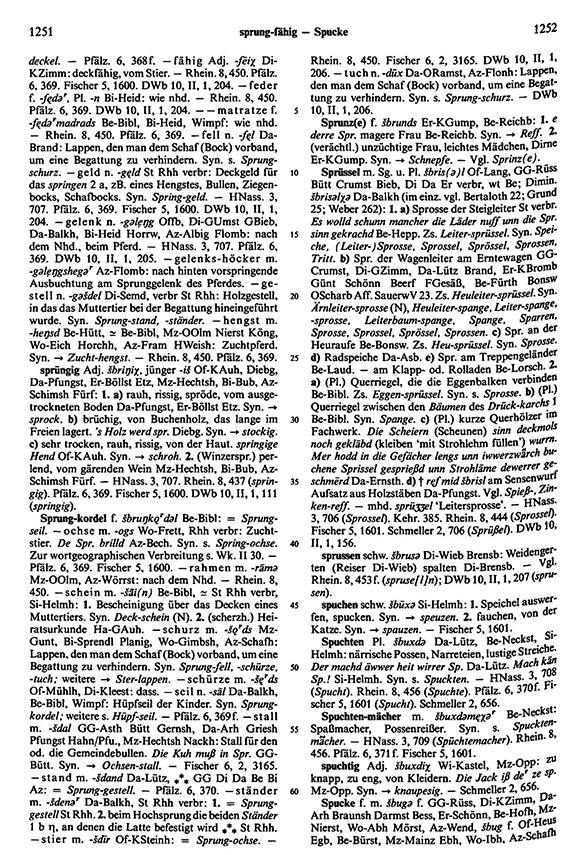 Zum Vergrößern bitte klicken Seitenanzeige: Band 5, Spalten 1251–1252
