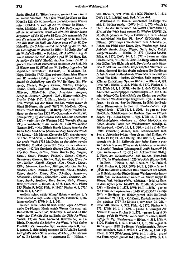 Zum Vergrößern bitte klicken Seitenanzeige: Band 6, Spalten 375–376
