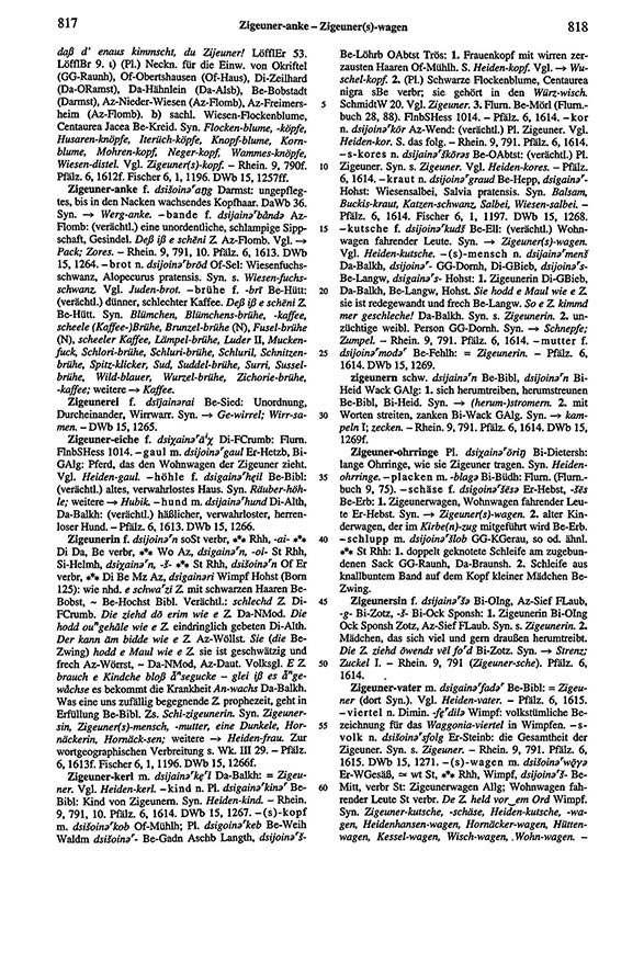 Zum Vergrößern bitte klicken Seitenanzeige: Band 6, Spalten 817–818