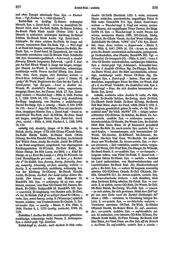 Zum Vergrößern bitte klicken Seitenanzeige: Band 6, Spalten 857–858